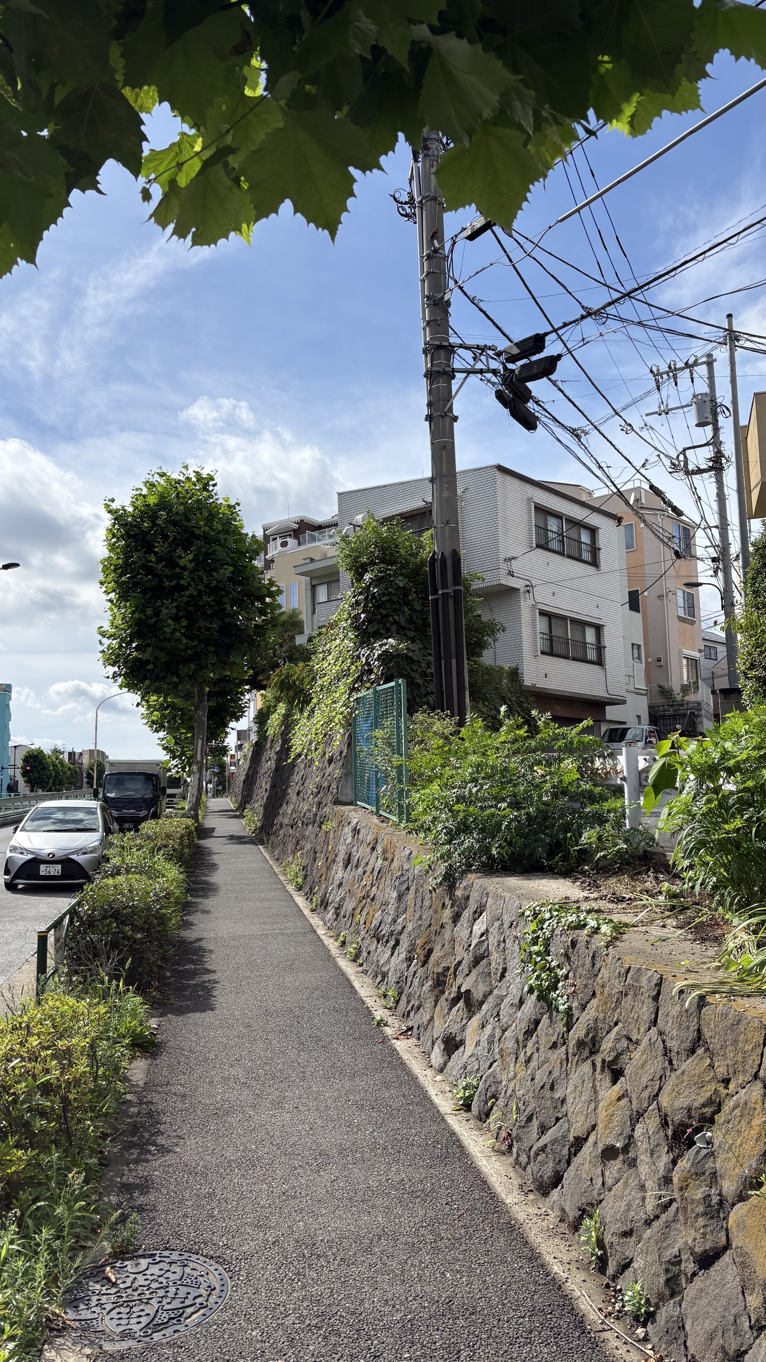 【売土地】新宿区中落合2丁目[2]