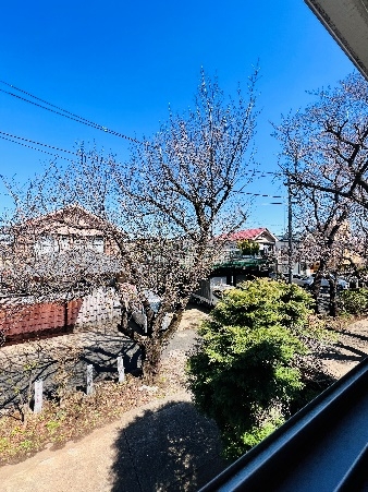 杉並区荻窪 一丁目戸建て[3]