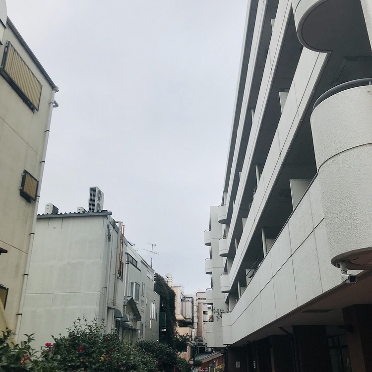スターハイツ下高井戸[6]